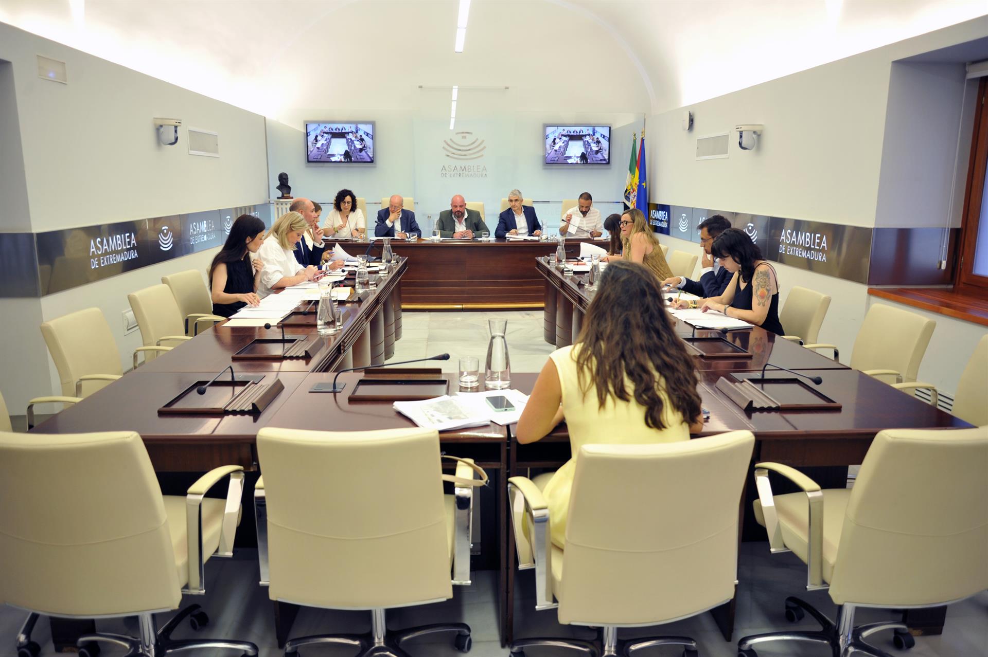 La EX-A1, la ayuda a Venezuela y la petición a Sánchez de un adelanto electoral centrarán el pleno de este jueves en la Asamblea La EX-A1, la ayuda a Venezuela y la petición a Sánchez de un adelanto electoral centrarán el pleno de este jueves en la Asamblea