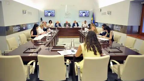 La EX-A1, la ayuda a Venezuela y la petición a Sánchez de un adelanto electoral centrarán el pleno de este jueves en la Asamblea La EX-A1, la ayuda a Venezuela y la petición a Sánchez de un adelanto electoral centrarán el pleno de este jueves en la Asamblea