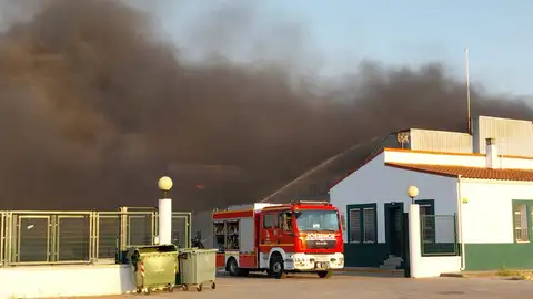Bomberos de Don Benito, Castuera, Mérida y Villafranca trabajaban en la extinción de un incendio de una fábrica en Don Benito Bomberos de Don Benito, Castuera, Mérida y Villafranca trabajaban en la extinción de un incendio de una fábrica en Don Benito