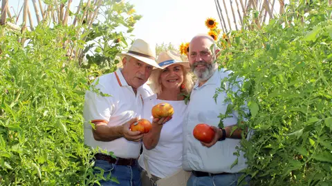 El Tomate Huevo Toro inicia su campaña 2026 con buenas previsiones de producción en el Guadalhorce El Tomate Huevo Toro inicia su campaña 2026 con buenas previsiones de producción en el Guadalhorce