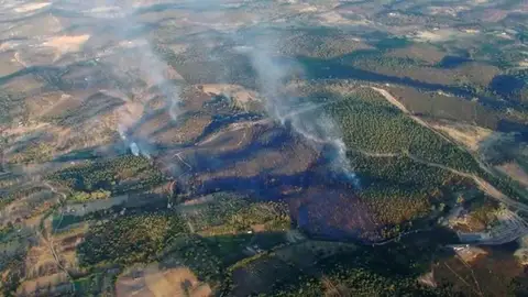 El INFOEX estabilizaba un incendio forestal de la Codosera que contó con el apoyo de medios portugueses El INFOEX estabilizaba un incendio forestal de la Codosera que contó con el apoyo de medios portugueses