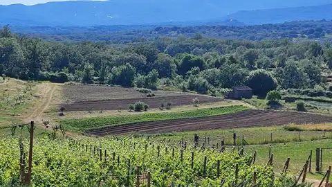 Extremadura cierra el PDR 14-22 ejecutando en los últimos dos años y medio más de 468 millones de euros Extremadura cierra el PDR 14-22 ejecutando en los últimos dos años y medio más de 468 millones de euros