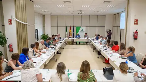 El presidente del Colegio de Enfermería de Málaga representa a la enfermería andaluza en el Pleno del Observatorio de Agresiones del Sistema Sanitario Público de Andalucía El presidente del Colegio de Enfermería de Málaga representa a la enfermería andaluza en el Pleno del Observatorio de Agresiones del Sistema Sanitario Público de Andalucía