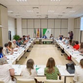 El presidente del Colegio de Enfermería de Málaga representa a la enfermería andaluza en el Pleno del Observatorio de Agresiones del Sistema Sanitario Público de Andalucía