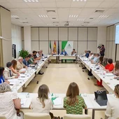 El presidente del Colegio de Enfermería de Málaga representa a la enfermería andaluza en el Pleno del Observatorio de Agresiones del Sistema Sanitario Público de Andalucía El presidente del Colegio de Enfermería de Málaga representa a la enfermería andaluza en el Pleno del Observatorio de Agresiones del Sistema Sanitario Público de Andalucía