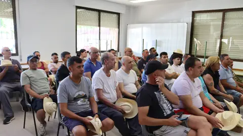 El Ayuntamiento de Vila-real incorpora a 27 personas al programa de empleo agrario financiado por el SEPE El Ayuntamiento de Vila-real incorpora a 27 personas al programa de empleo agrario financiado por el SEPE