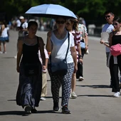Junio bate récords con 1.028 muertes por calor en España: un 152% más que en 2025 Junio bate récords con 1.028 muertes por calor en España: un 152% más que en 2025