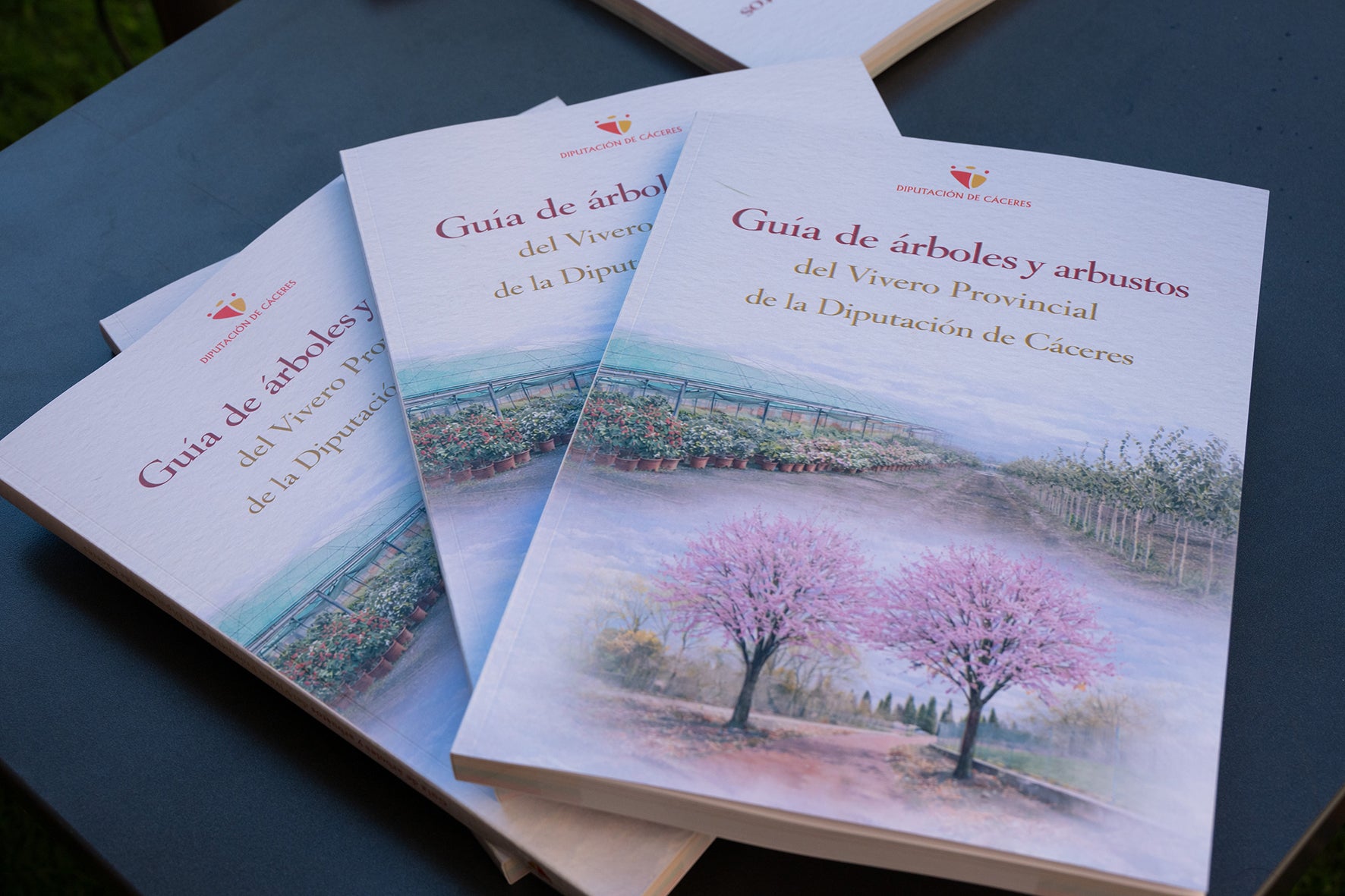 Diputación de Cáceres presenta la Guía de árboles y arbustos del Vivero Provincial Diputación de Cáceres presenta la Guía de árboles y arbustos del Vivero Provincial