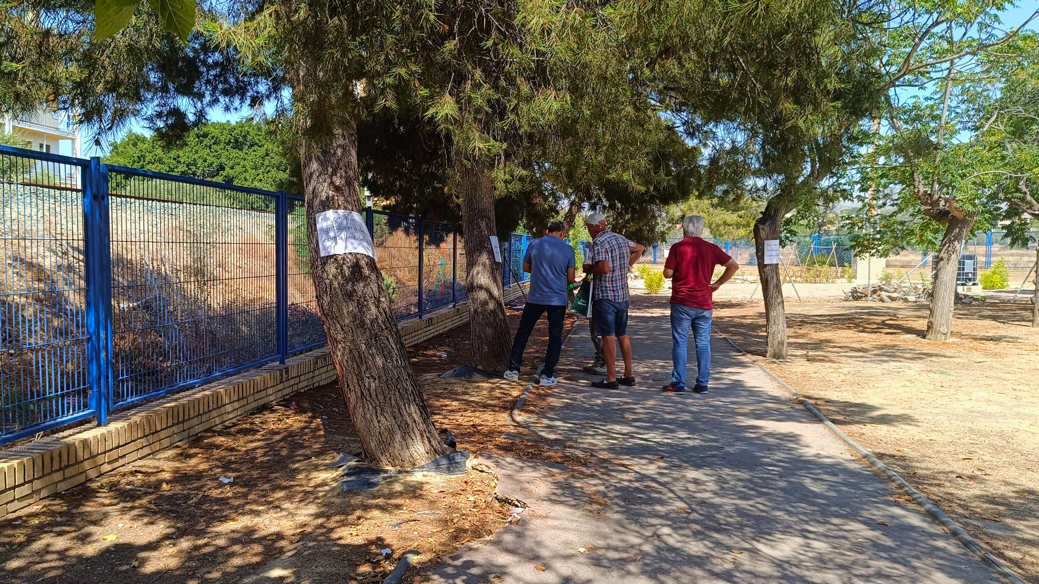 Villajoyosa y el grupo Xoriguer trabajan conjuntamente para conservar gran parte de los árboles del IES Marcos Zaragoza Villajoyosa y el grupo Xoriguer trabajan conjuntamente para conservar gran parte de los árboles del IES Marcos Zaragoza