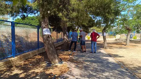 Villajoyosa y el grupo Xoriguer trabajan conjuntamente para conservar gran parte de los árboles del IES Marcos Zaragoza Villajoyosa y el grupo Xoriguer trabajan conjuntamente para conservar gran parte de los árboles del IES Marcos Zaragoza