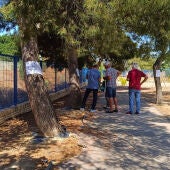 Villajoyosa y el grupo Xoriguer trabajan conjuntamente para conservar gran parte de los árboles del IES Marcos Zaragoza 