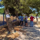 Villajoyosa y el grupo Xoriguer trabajan conjuntamente para conservar gran parte de los árboles del IES Marcos Zaragoza Villajoyosa y el grupo Xoriguer trabajan conjuntamente para conservar gran parte de los árboles del IES Marcos Zaragoza