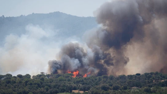 Columna de humo del incendio forestal que se ha declarado en La Bisbal d'Empordà (Girona). Columna de humo del incendio forestal que se ha declarado en La Bisbal d'Empordà (Girona).