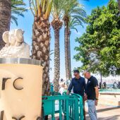 Benidorm repone ejemplares de palmeras dañadas en el Parque de Elche, Paseo de Colón y avenida Bilbao