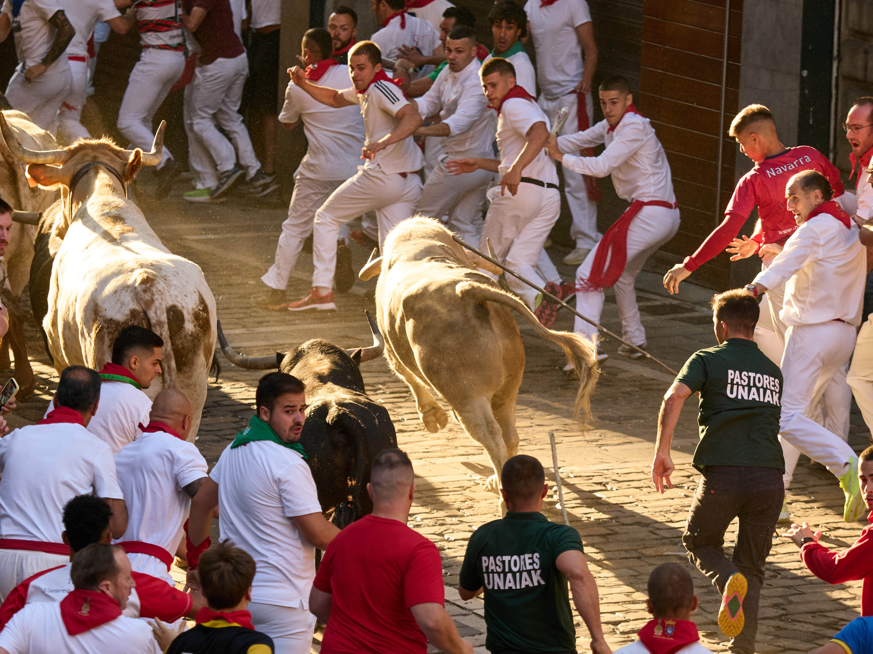 Primer encierro veloz y limpio en San Fermín: los Fuente Ymbro desatan la emoción en las calles de Pamplona Primer encierro veloz y limpio en San Fermín: los Fuente Ymbro desatan la emoción en las calles de Pamplona