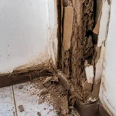 Efecto termita Efecto termita