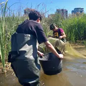 Arxiu. Projecte Emys d'Acció Ecologista Agró. Arxiu. Projecte Emys d'Acció Ecologista Agró.
