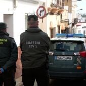 Operación abierta en El Palmar de Troya con 26 detenidos y 24 plantaciones de marihuana desmanteladas