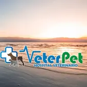 Ángel Osuna nos recuerda la importancia de un buen adiestramiento para disfrutar de las playas habilitadas para perros Ángel Osuna nos recuerda la importancia de un buen adiestramiento para disfrutar de las playas habilitadas para perros