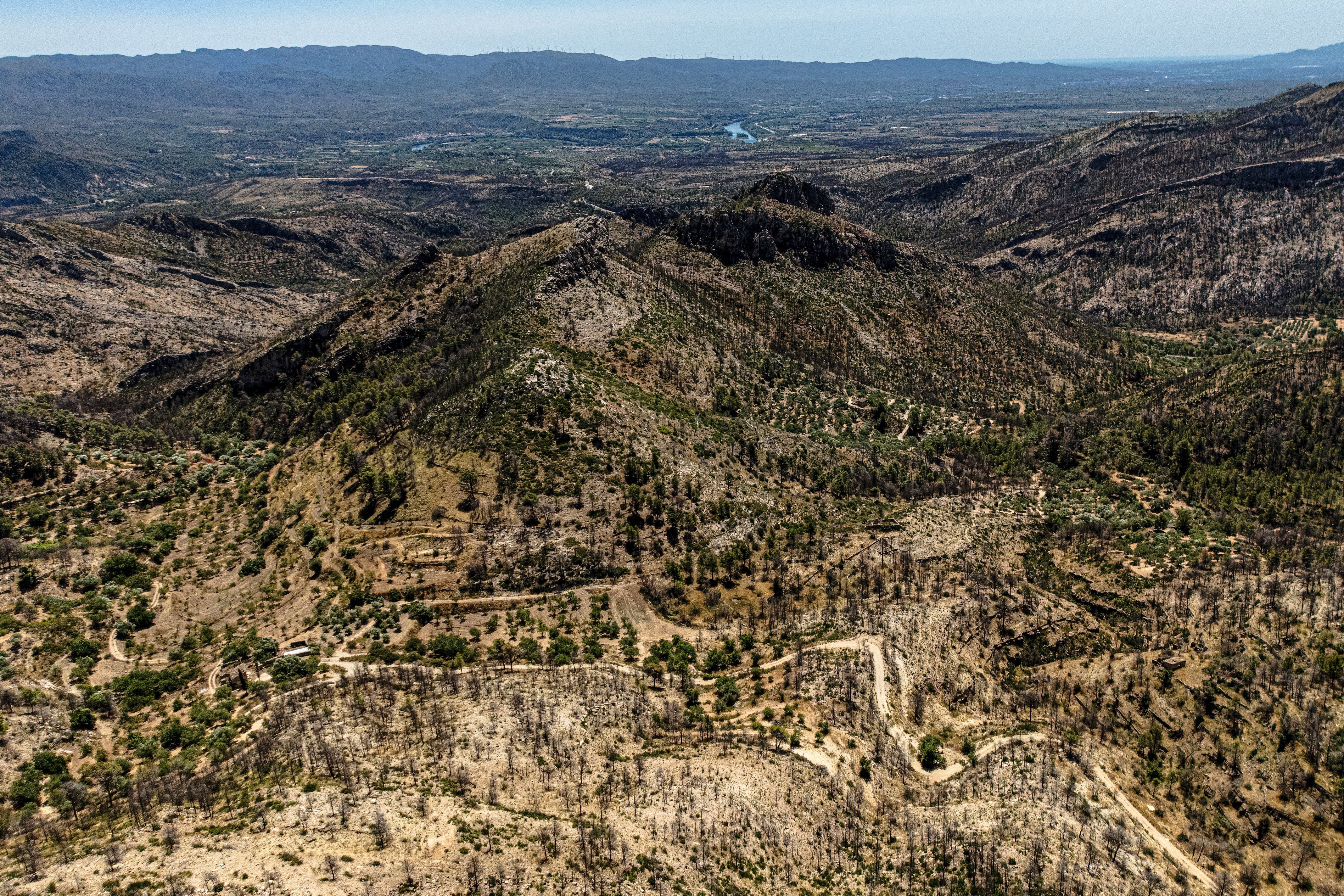 Un any després de l’incendi de Paüls: “Encara queda moltíssima feina per fer” Un any després de l’incendi de Paüls: “Encara queda moltíssima feina per fer”
