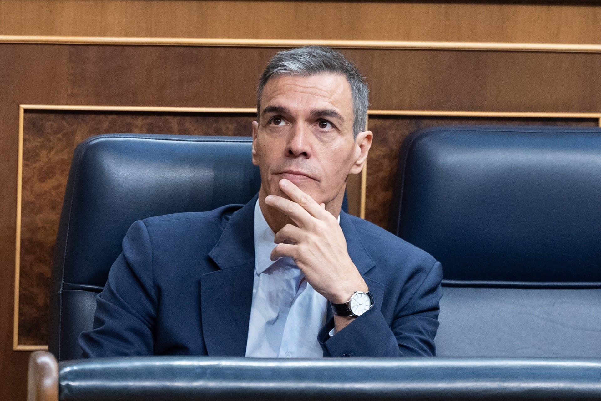 El presidente del Gobierno, Pedro Sánchez, durante una sesión de control en el Congreso El presidente del Gobierno, Pedro Sánchez, durante una sesión de control en el Congreso