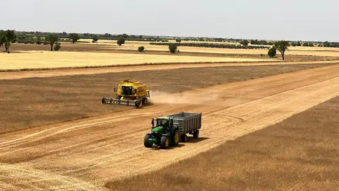 Asaja CLM solicita el cese del viceconsejero de Medio Ambiente por su gestión de las restricciones de cosecha Asaja CLM solicita el cese del viceconsejero de Medio Ambiente por su gestión de las restricciones de cosecha