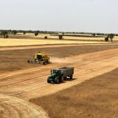 Asaja CLM solicita el cese del viceconsejero de Medio Ambiente por su gestión de las restricciones de cosecha