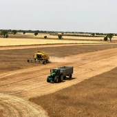 Asaja CLM solicita el cese del viceconsejero de Medio Ambiente por su gestión de las restricciones de cosecha Asaja CLM solicita el cese del viceconsejero de Medio Ambiente por su gestión de las restricciones de cosecha