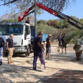 Benidorm mejora el ‘Benican’ del parque de ocio y esparcimiento con una nueva área de ‘Agility’ para mascotas 
