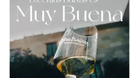 El Consello Regulador de la DO Rías Baixas califica la Añada 2025 como “muy buena” Hablamos con el director técnico del Consello Regulador, Agustín Lago, para celebrar la calificación de la añada 2025 como “muy buena”.