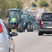 Els pagesos del Penedès surten al carrer per la crisi del vi