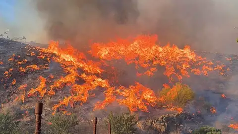 Incendio en el municipio almeriense de Los Gallardos, en concreto en una pedanía del municipio vecino de Bédar, habiendo sido halladas algunas de las víctimas en el interior de vehículos que fueron alcanzados por las llamas. Incendio en el municipio almeriense de Los Gallardos, en concreto en una pedanía del municipio vecino de Bédar, habiendo sido halladas algunas de las víctimas en el interior de vehículos que fueron alcanzados por las llamas.
