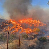 Incendio en el municipio almeriense de Los Gallardos, en concreto en una pedanía del municipio vecino de Bédar, habiendo sido halladas algunas de las víctimas en el interior de vehículos que fueron alcanzados por las llamas. 