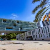 Benidorm llevará al próximo pleno la licitación del contrato de limpieza de edificios públicos y centros escolares