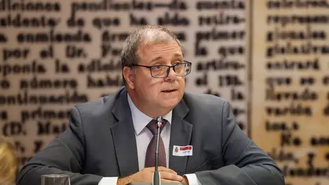 Juan Manuel Serrano, expresidente de Correos y consejero de la SEPI. Juan Manuel Serrano, expresidente de Correos y consejero de la SEPI. EFE J.P Gandul