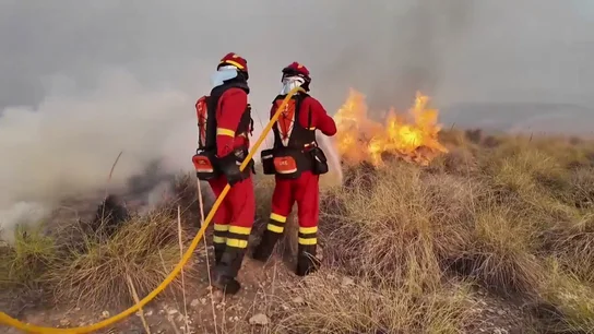 Intervención de los militares de la UME en el incendio de Los Gallardos (Almería) Intervención de los militares de la UME en el incendio de Los Gallardos (Almería)