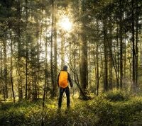 Guardas forestales