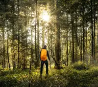 Guardas forestales Guardas forestales