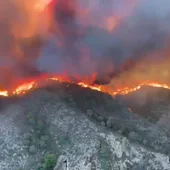 Vista desde un helicóptero del incendio en Los Gallardos Vista desde un helicóptero del incendio en Los Gallardos