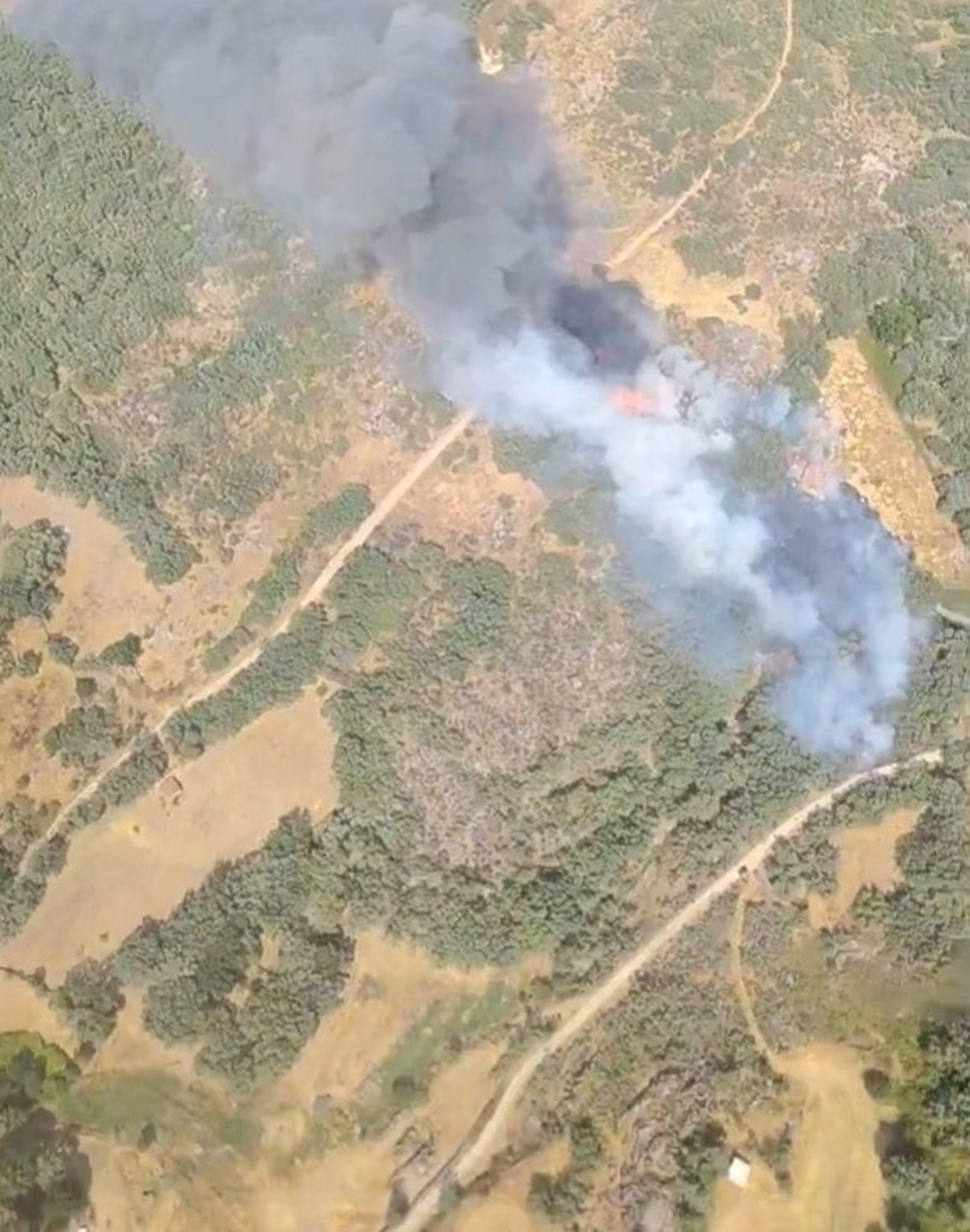 El INFOEX daba por estabilizado el incendio forestal de Gargüera de la Vera El INFOEX daba por estabilizado el incendio forestal de Gargüera de la Vera
