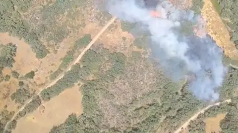 El INFOEX daba por estabilizado el incendio forestal de Gargüera de la Vera El INFOEX daba por estabilizado el incendio forestal de Gargüera de la Vera