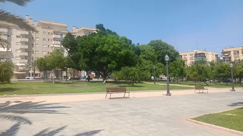 Parque en Elche. Parque en Elche.