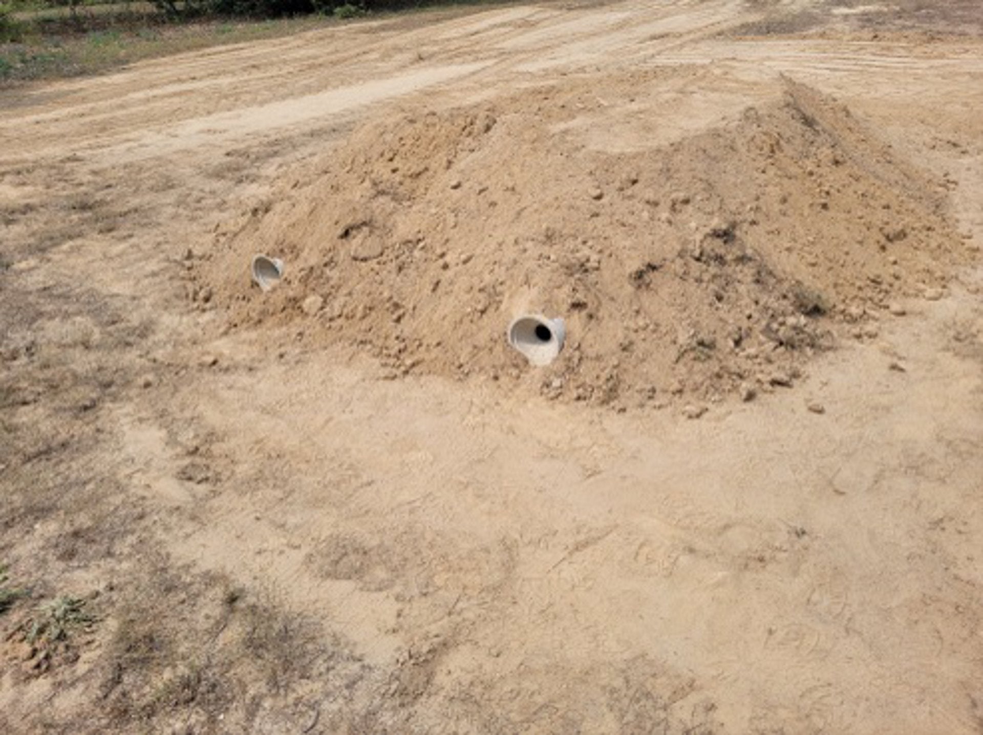 Desarrollan en Extremadura un nuevo majano artificial para favorecer la cría del conejo silvestre Desarrollan en Extremadura un nuevo majano artificial para favorecer la cría del conejo silvestre