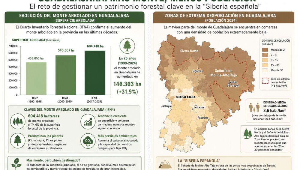 Infografia Monte y Despoblación Guadalajara
