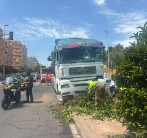 Un cami&oacute;n queda empotrado en la mediana ajardinada de la Gran V&iacute;a de Alicante tras perder el conductor el conocimiento