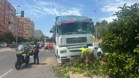 Un camión queda empotrado en la mediana ajardinada de la Gran Vía de Alicante tras perder el conductor el conocimiento Un camión queda empotrado en la mediana ajardinada de la Gran Vía de Alicante tras perder el conductor el conocimiento
