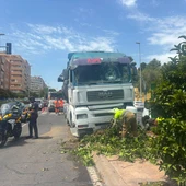 Un camión queda empotrado en la mediana ajardinada de la Gran Vía de Alicante tras perder el conductor el conocimiento Un camión queda empotrado en la mediana ajardinada de la Gran Vía de Alicante tras perder el conductor el conocimiento