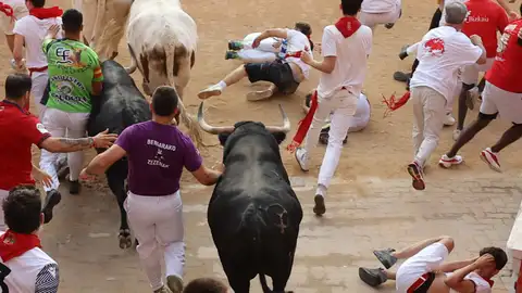 Un astado de la ganadería extremeña de Jandilla Un astado de la ganadería extremeña de Jandilla/ EFE/J.P. Urdiroz