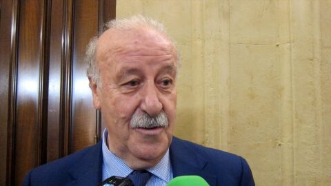 Vicente del Bosque en una foto de archivo Vicente del Bosque en una foto de archivo