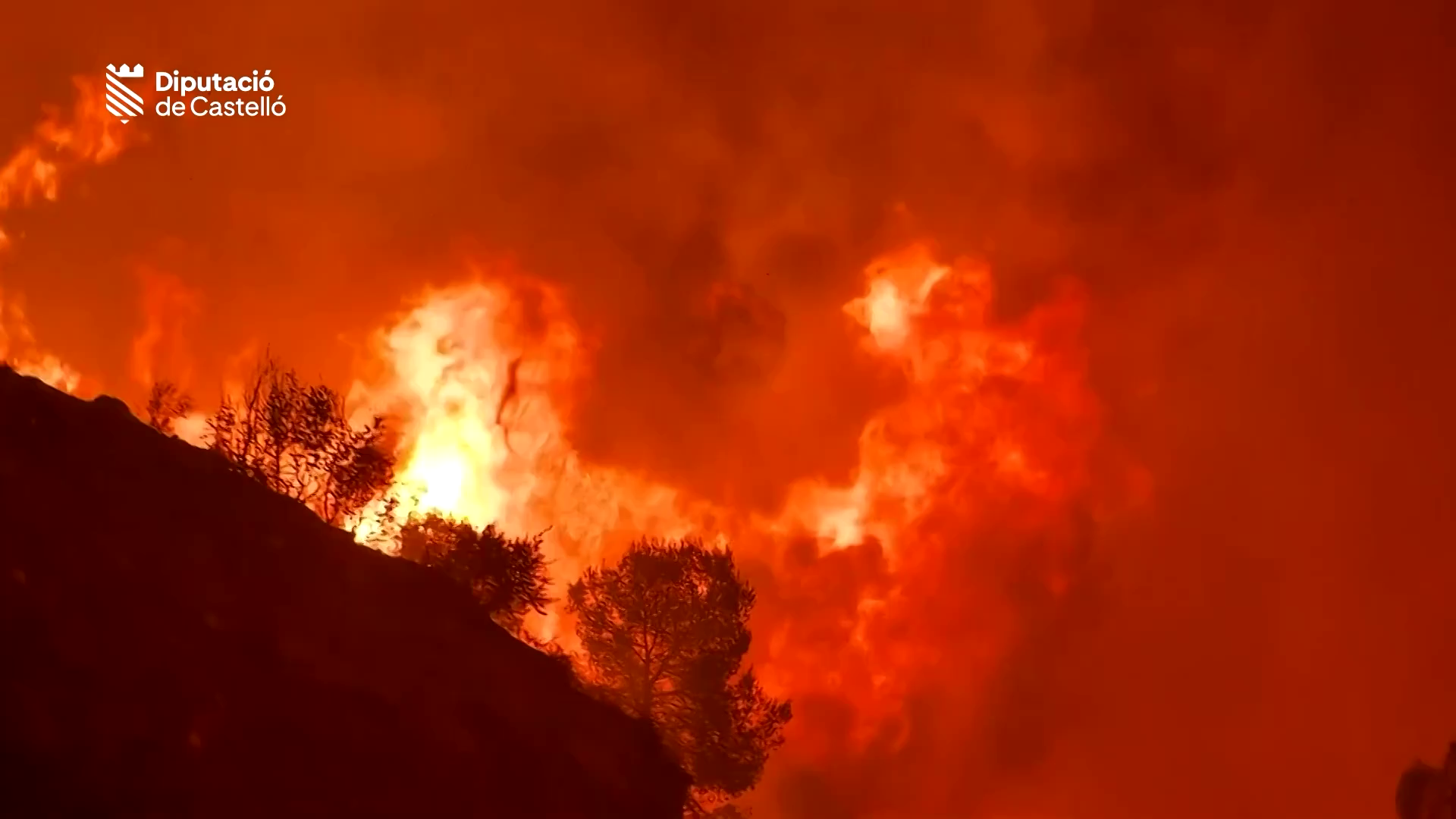 Las impactantes imágenes del incendio en Castellón Las impactantes imágenes del incendio en Castellón